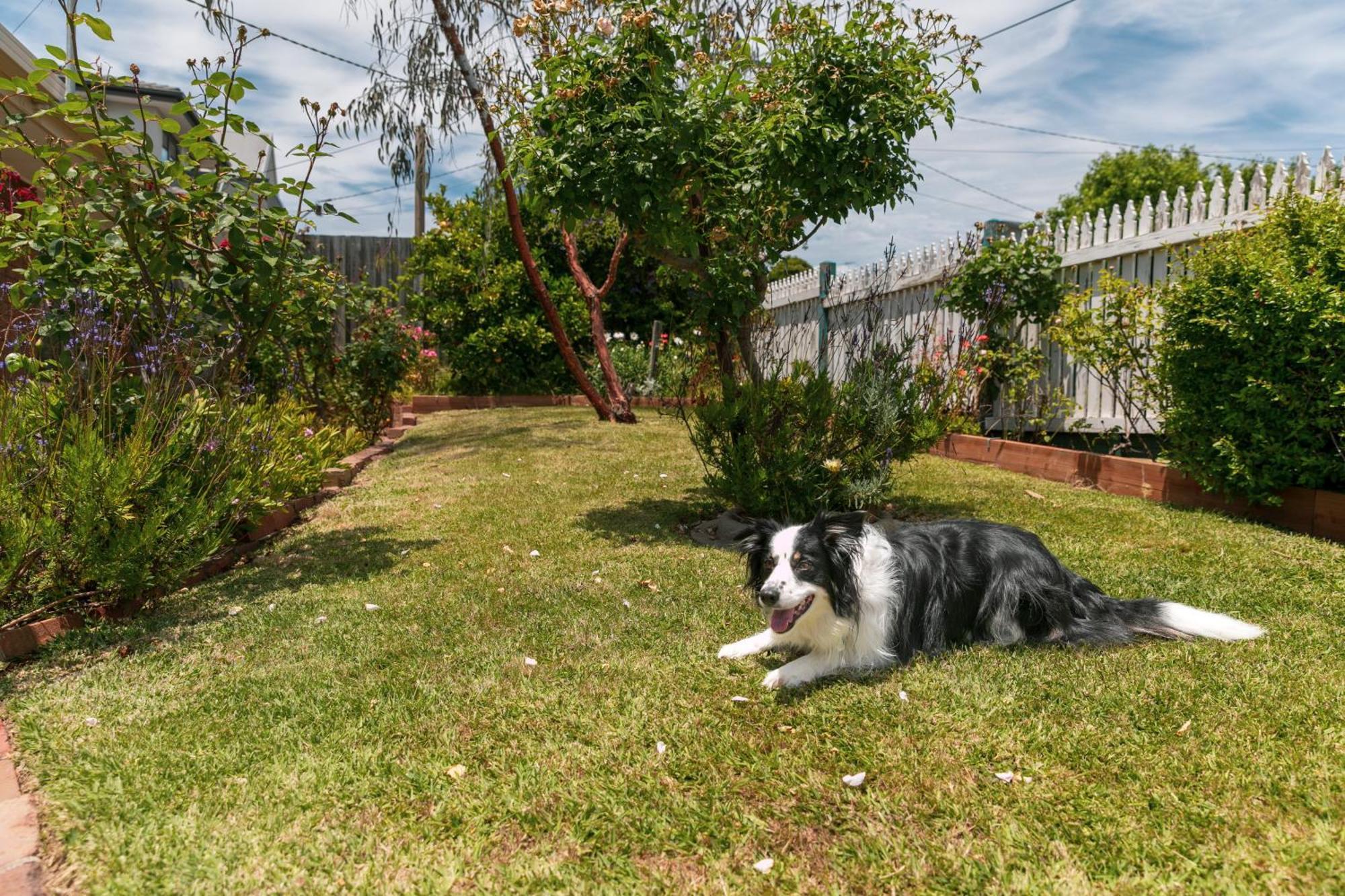 Holiday home Pet Friendly 3 Bedroom House With Large Backyard *